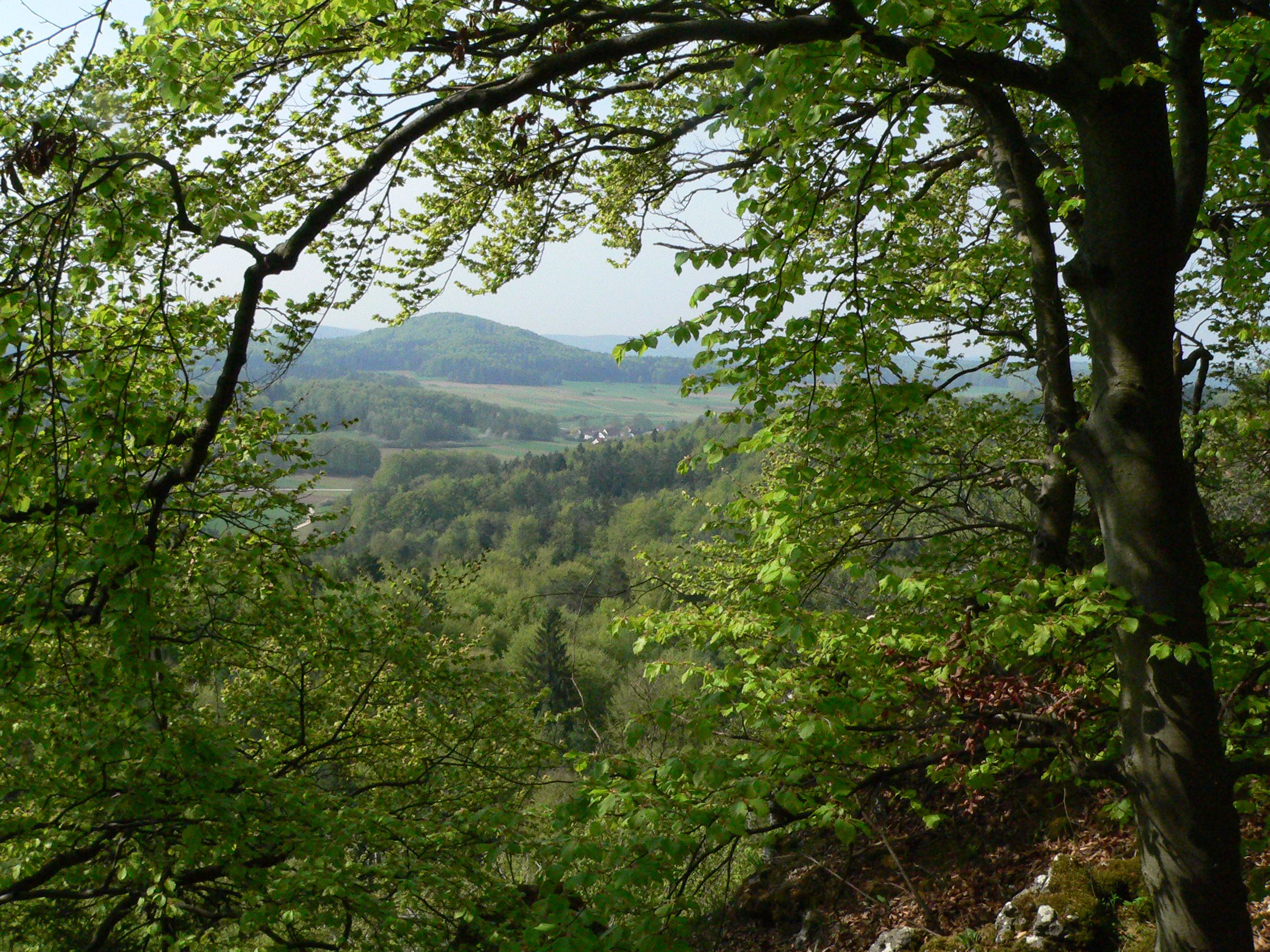 Blick in die Hersbrucker Alb